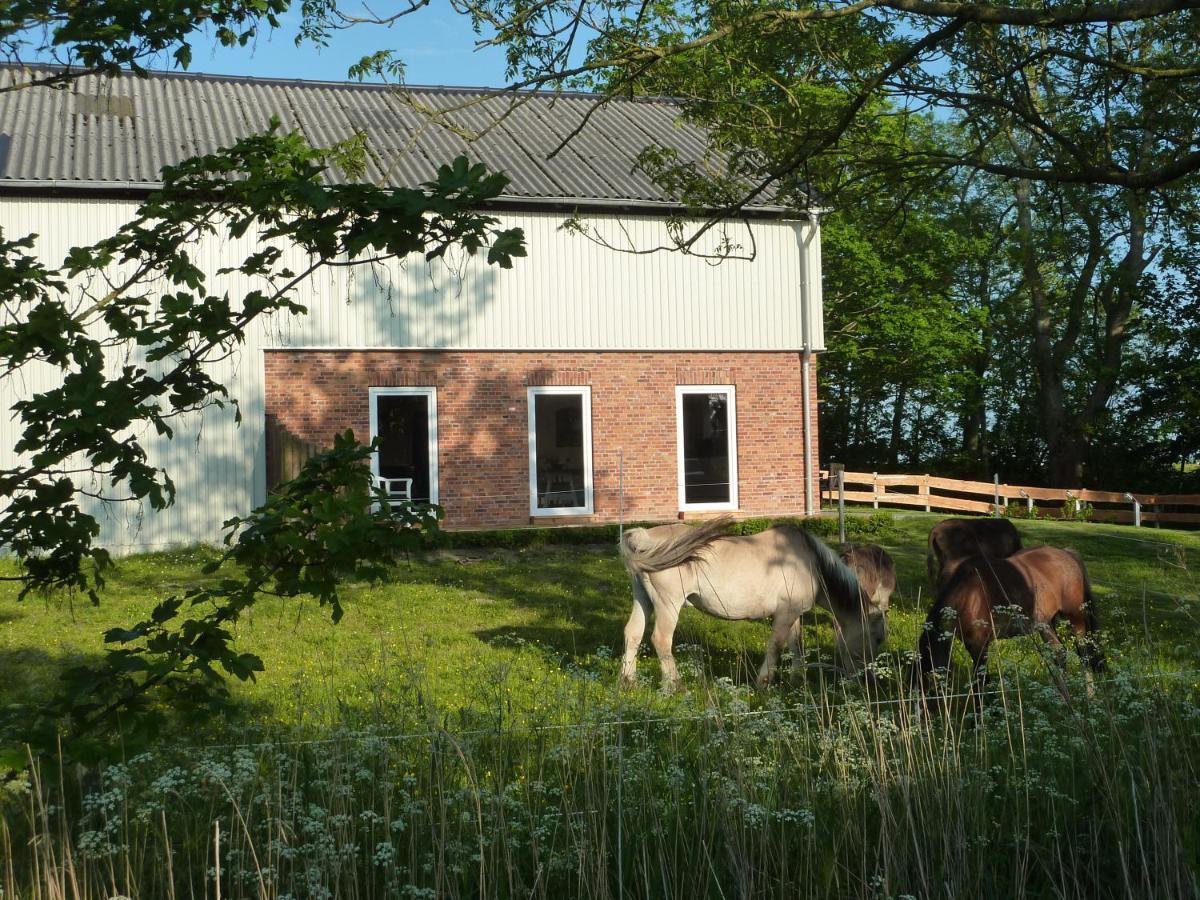 Ferienwohnung Landtraum Klanxbull Exterior foto